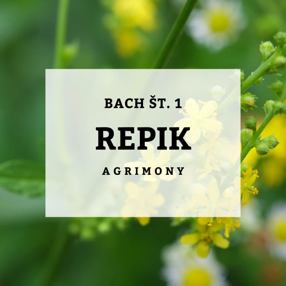 Bach 1 - Repik, Solime