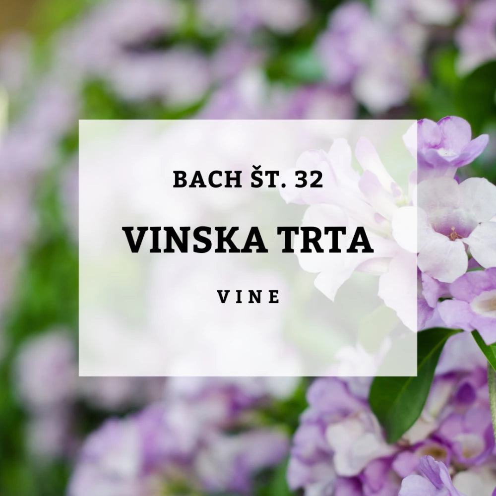 Bach 32, Vinska trta - Vinska trta, Solime, 10 ml