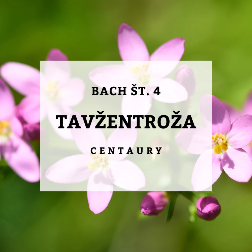 Bach 4, Centaury - Tavžentroža, Solime, 10 ml
