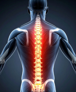 Vadba in osteoporoza – zakaj je gibanje ključno za zdrave kosti?