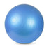 Meteor gym ball 65 cm with pump blue 31133