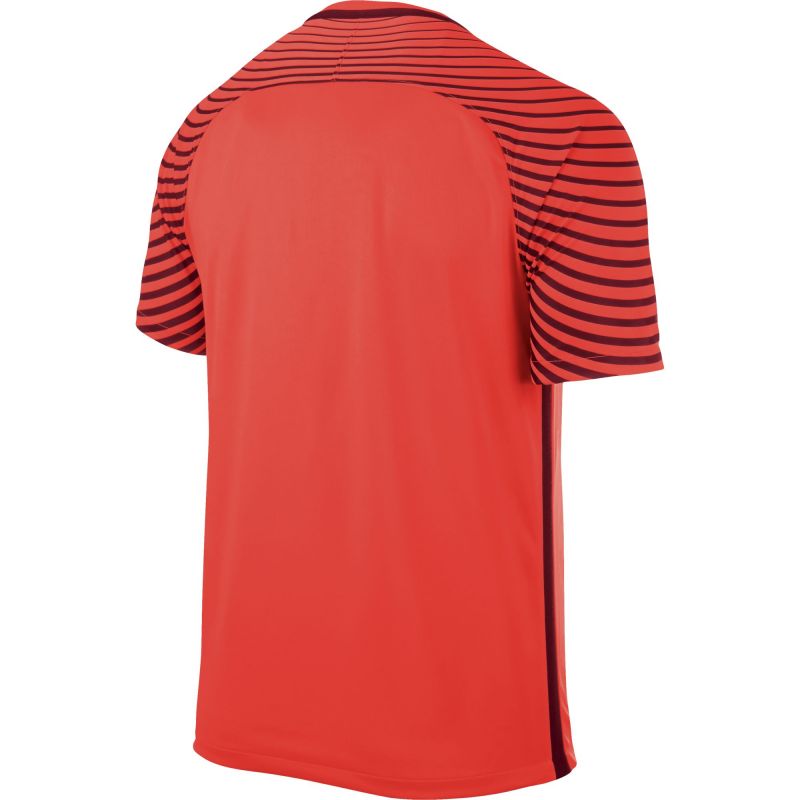 Vratarski dres Nike Gardien M 725889-671