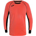 Joma Protect Long Sleeve 100447.040 football jersey