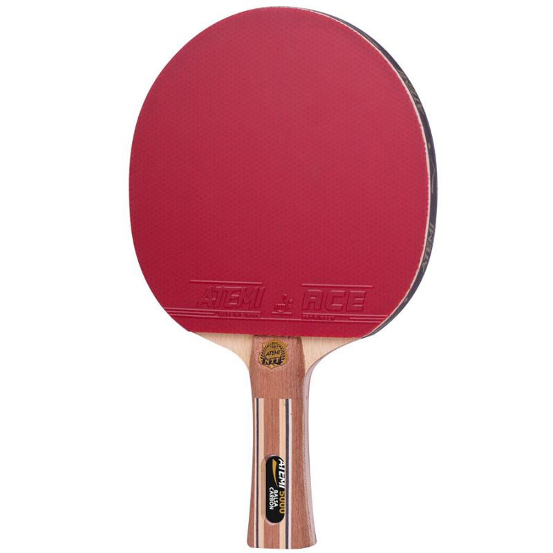 Palice za namizni tenis Atemi 500