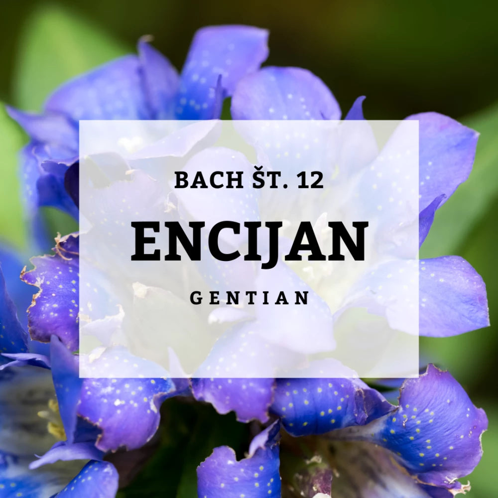 Bach 12, Gentian - Encijan, Solime, 10 ml