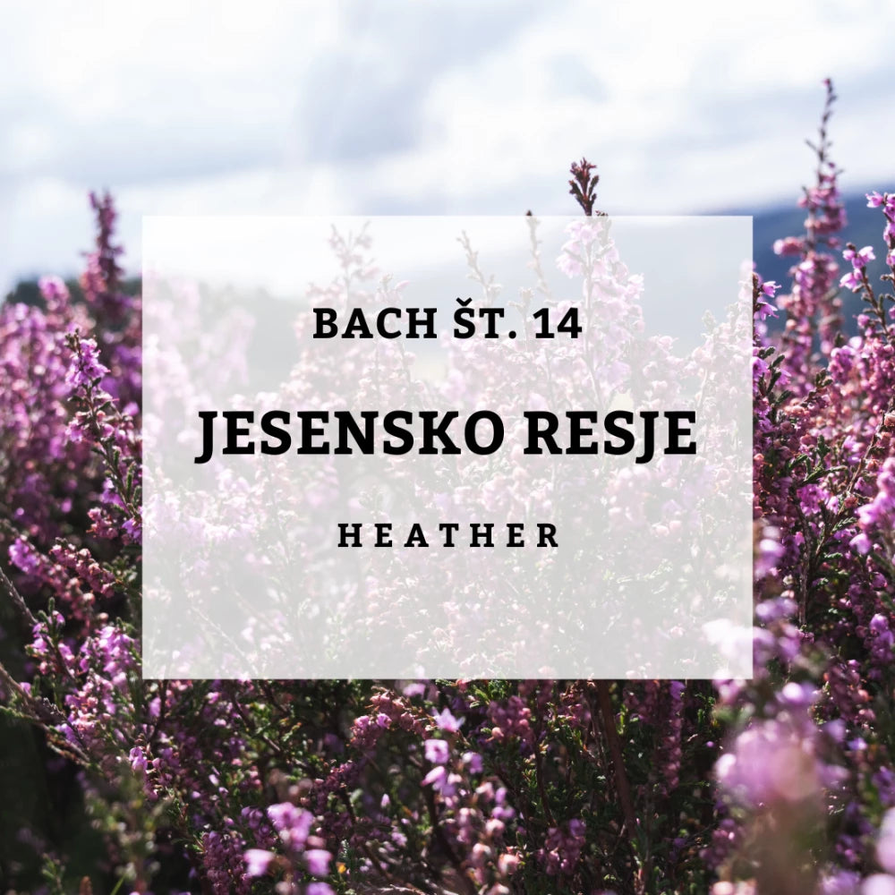 Bach 14, Heather - Jesenski vrijesak, Solime, 10 ml