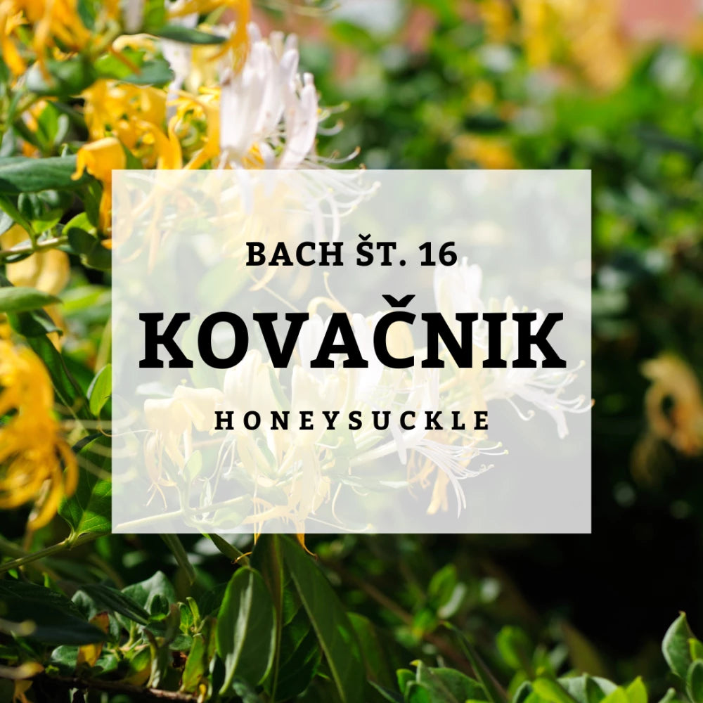 Bach 16, Honeysuckle - Kovačnik, Solime, 10 ml