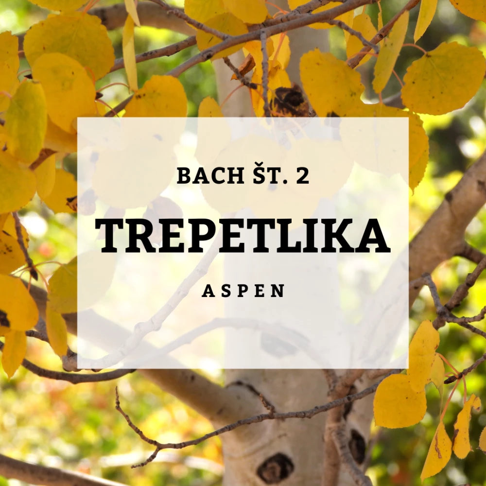 Bach 2, Trepetlika - Trepetlika, Solime, 10 ml