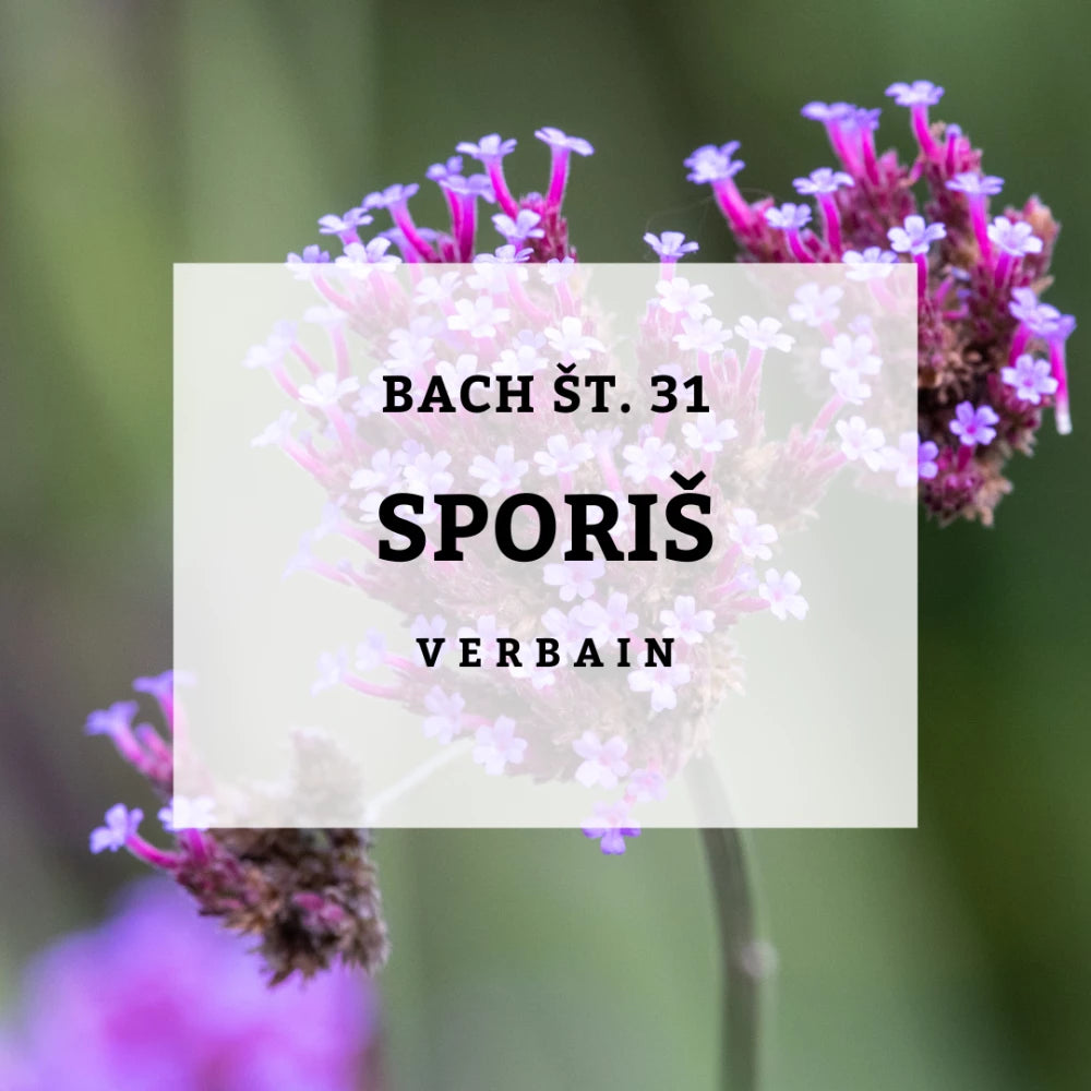 Bach 31, Vervain - Sporiš, Solime, 10 ml
