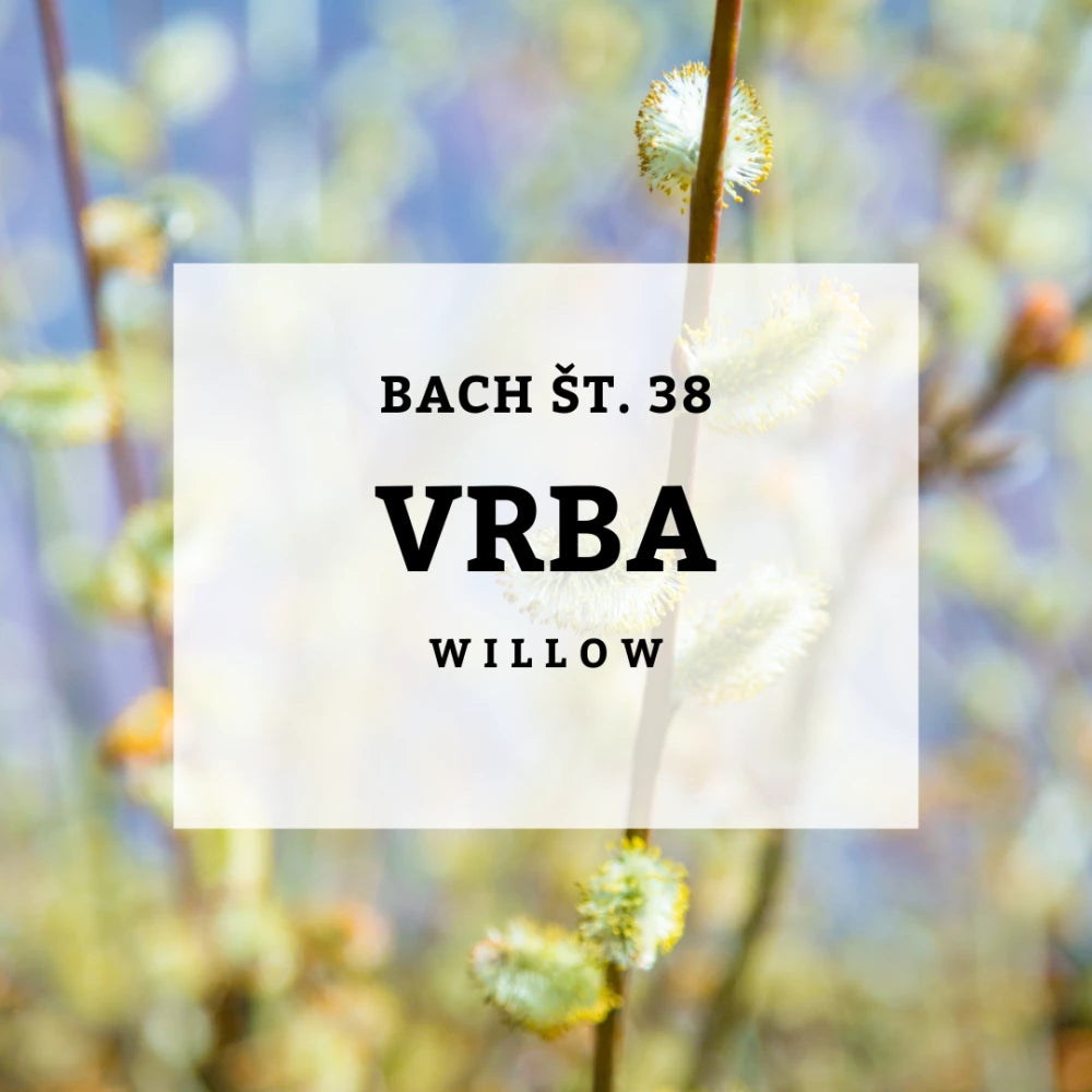 Bach 38, vrba, solima, 10 ml