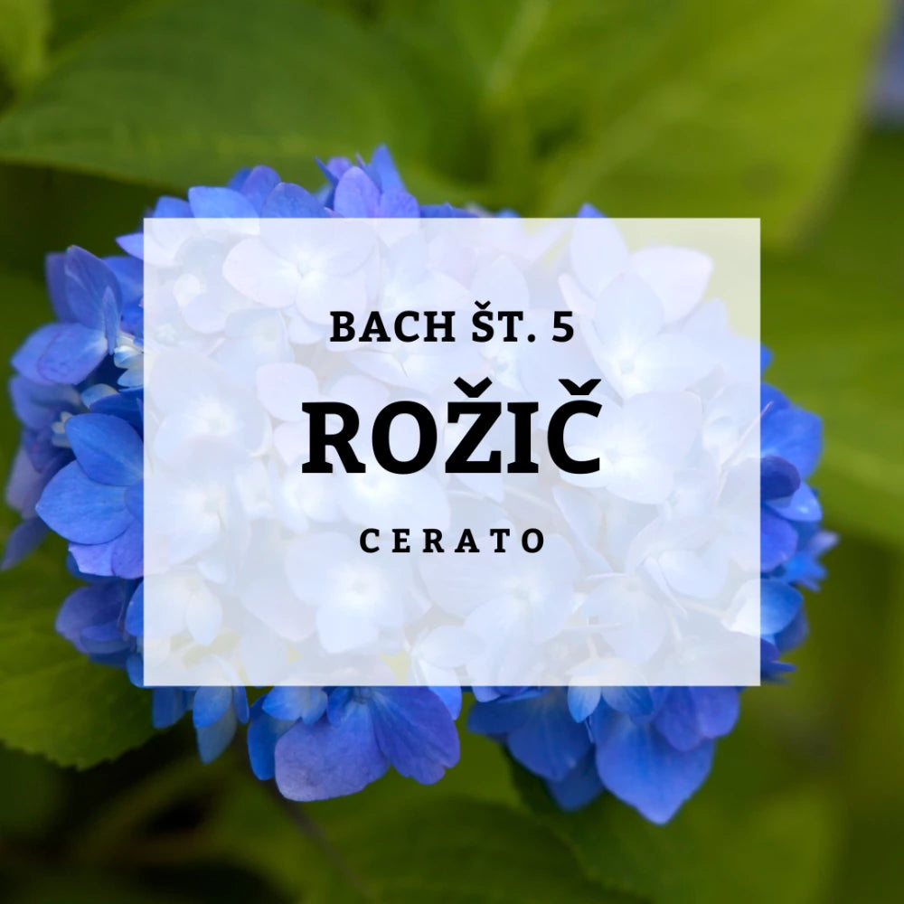 Bach 5, Cerato - Rožič, Solime, 10 ml