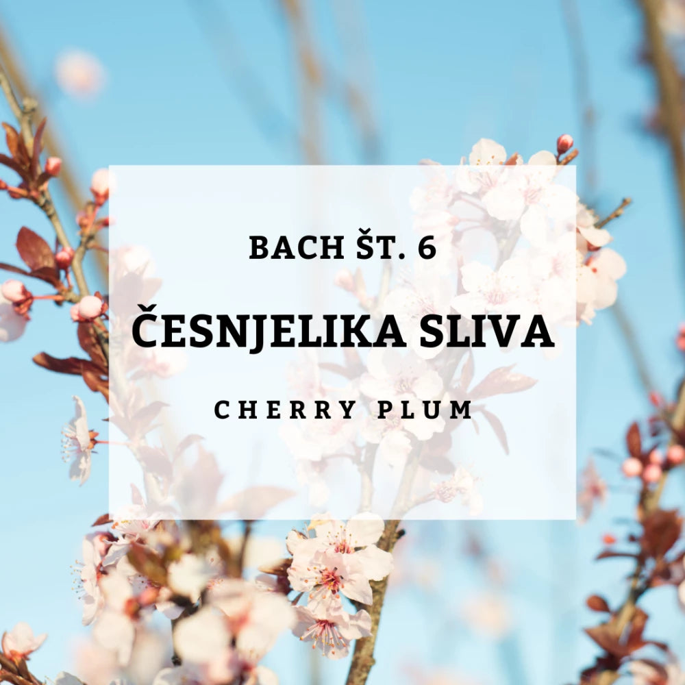 Bach 6, Cherry Plum - Češnjelika sliva, Solime 10 ml
