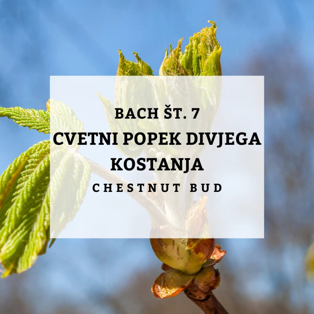 Bach 7, Chestnut Bud - Cvjetni pupoljak kestena, Solime, 10 ml