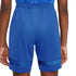 Nike Dry Acd21 Jr CW6109 480 shorts