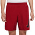 Nike Dri-FIT Academy M CV1467 687 Shorts