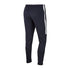 Nike Academy 19 Junior AJ9291-451 pants