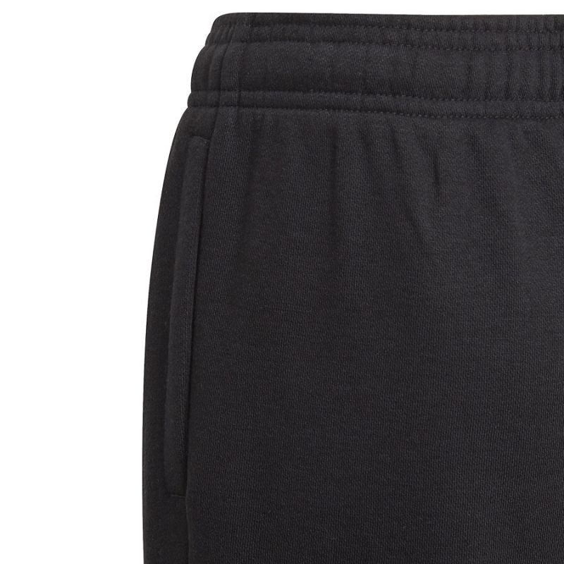 Adidas Essentials Big Logo Pant Jr GN4033