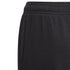 Adidas Essentials Big Logo Pant Jr GN4033