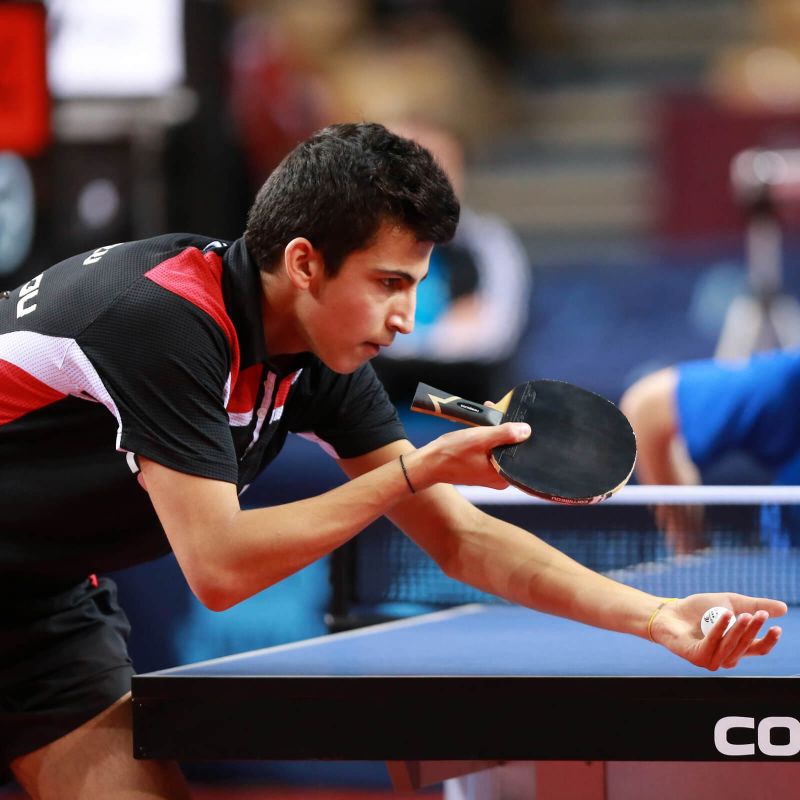 Cornilleau Pilot Pulse Max 613620 cladding