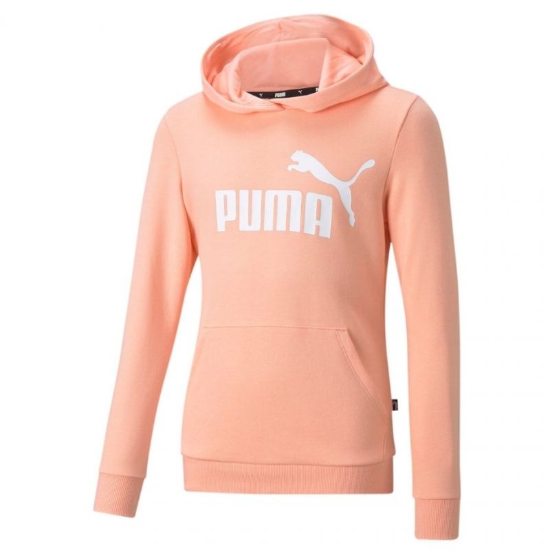 Puma ESS Logo Hoodie TR Jr 587030 26