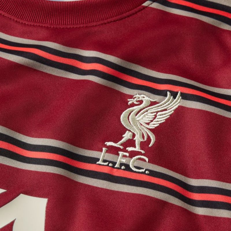 Nike Liverpool FC Pre-Match Short-Sleeve Soccer Top M DB0254 678