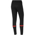 Nike DF Academy 21 Pant KPZ W CV2665 016 pants