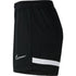 Nike Dri-FIT Academy W CV2649 010 shorts