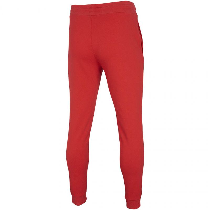 Men's pants 4F M NOSH4 SPMD001 62S