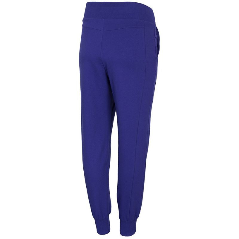 Pants 4F W H4L21-SPDD013 36S