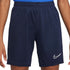 Nike Dry Academy 21 Jr CW6109 452 shorts