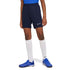 Nike Dri-FIT Academy 21 Jr CW6109-451 kratke hlače za trening