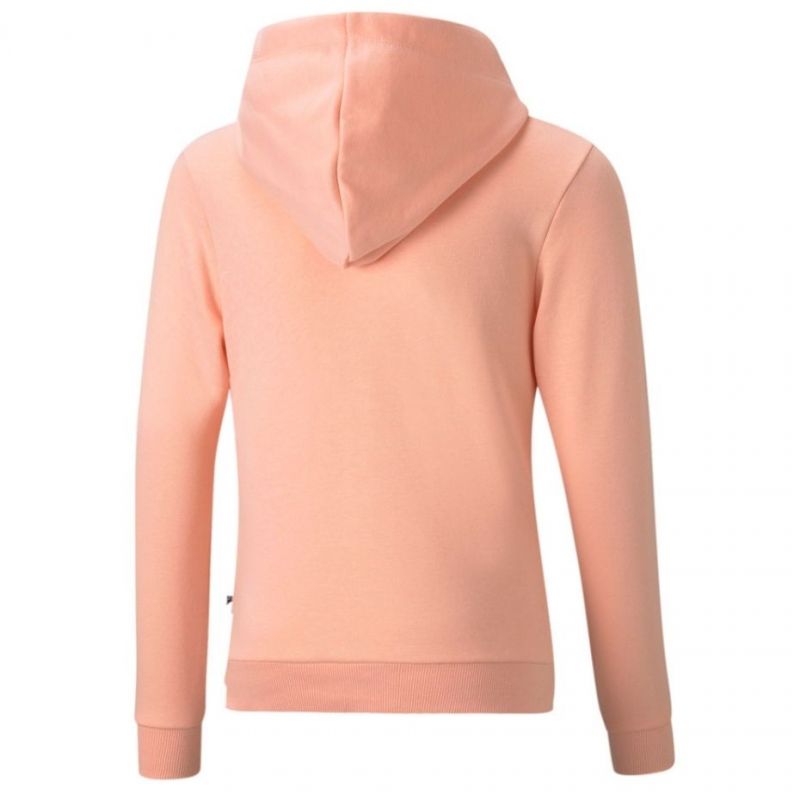 Puma ESS Logo Hoodie TR Jr 587030 26