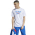 Reebok Classic Vector Tee M FT7423