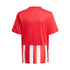 Majica adidas Striped 21 Jr GN7636