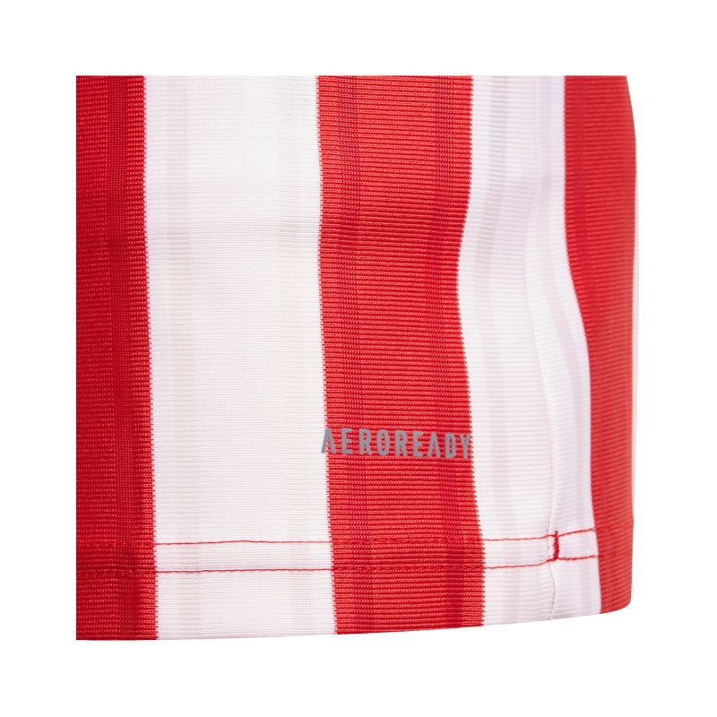 Majica adidas Striped 21 Jr GN7636