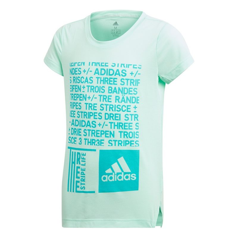 Majica adidas YG Graph Tee Junior DJ1093