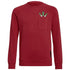 Adidas Arsenal FC Crew Sweat Jr GR4218 sweatshirt