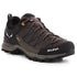 Salewa Mtn Trainer Lite GTX M 61361-7512 cipele za planinarenje