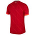 Nike Liverpool FC 2021/22 Match Home Soccer Jersey M DB2533 688
