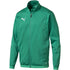 Puma Liga Training Jacket Electric M 655687 05