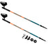 Štapovi za nordijsko hodanje Spokey Meadow 927833