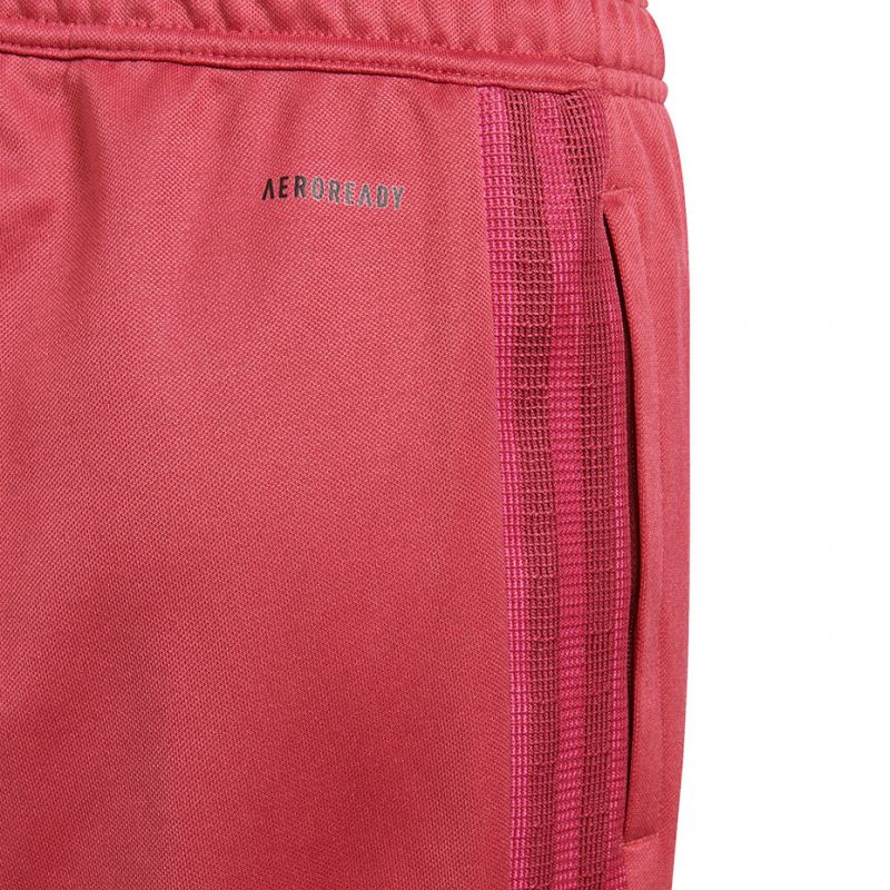 Adidas Tiro 21 Track W GP0729 hlače