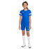 Nike Dri-FIT Academy Junior CW6103-480 majica