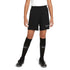 Nike Dri-FIT Academy 21 Jr CW6109-010 shorts