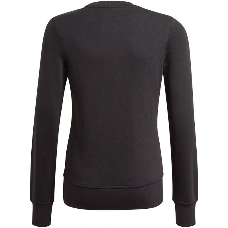 Sweatshirt adidas Essentials Big Logo Jr GP0040