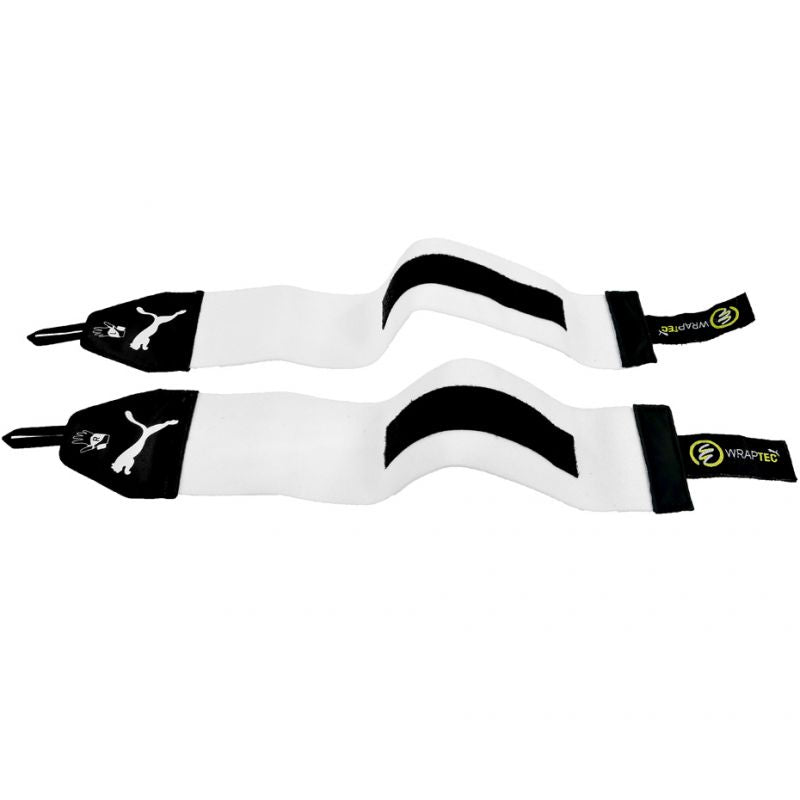 Goalkeeper gloves Puma EVO POWER GRIP 1/41054 04