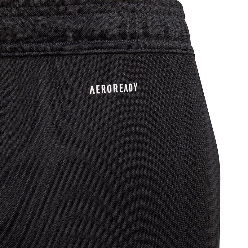 Hlače Adidas Condivo 20 Jr EA2479