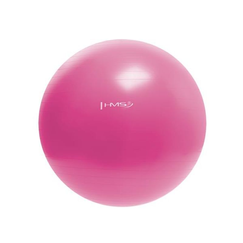 Gimnastična žoga YB01 55 cm roza
