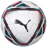 Football Puma team Final 21.2 FIFA QP 083304-01