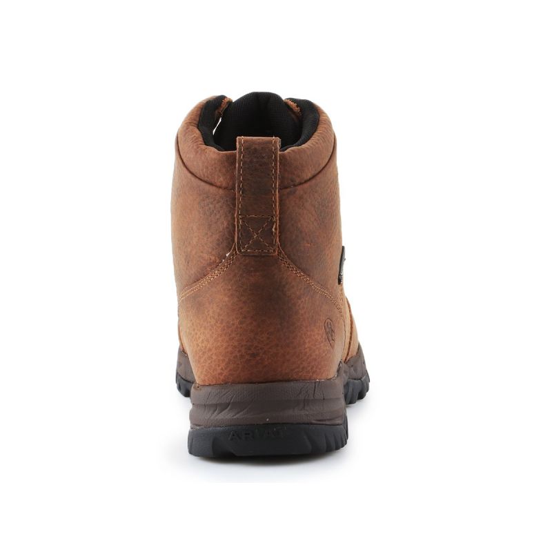 Cipele Ariat Berwick Gtx W 10016299